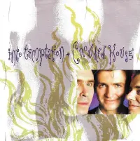 Crowded House - Into Temptation
