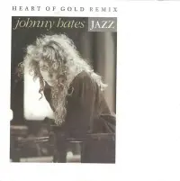 Johnny Hates Jazz - Heart Of Gold