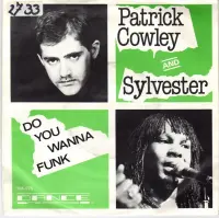 Patrick Cowley & Sylvester - Do You Wanna Funk